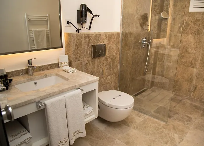 Tn&co Exclusive Cip And Primeclass (adults Only)