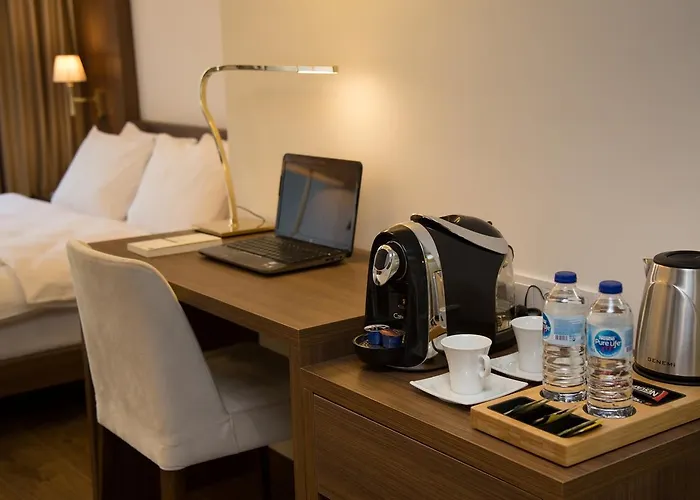 Tn&co Exclusive Cip And Primeclass (adults Only) 3*