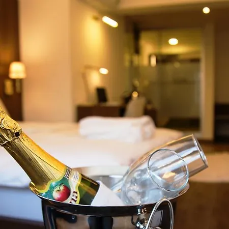 Tn&co Exclusive Cip And Primeclass (adults Only)